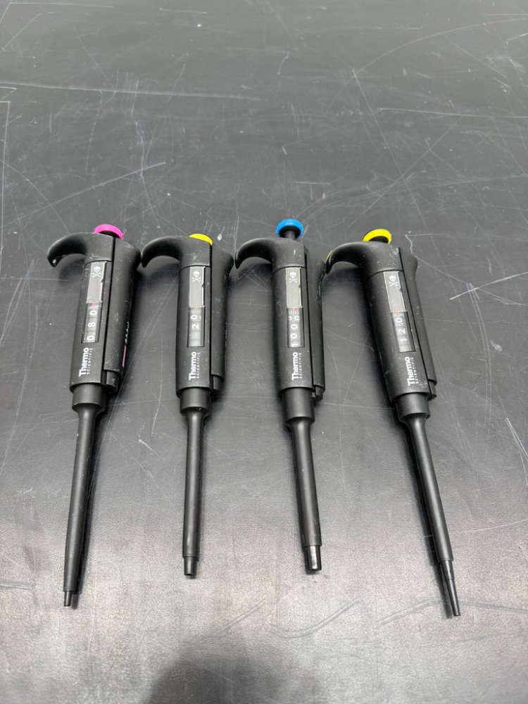 Image of Thermo Scientific Single Chanel Pipette Quantity 4